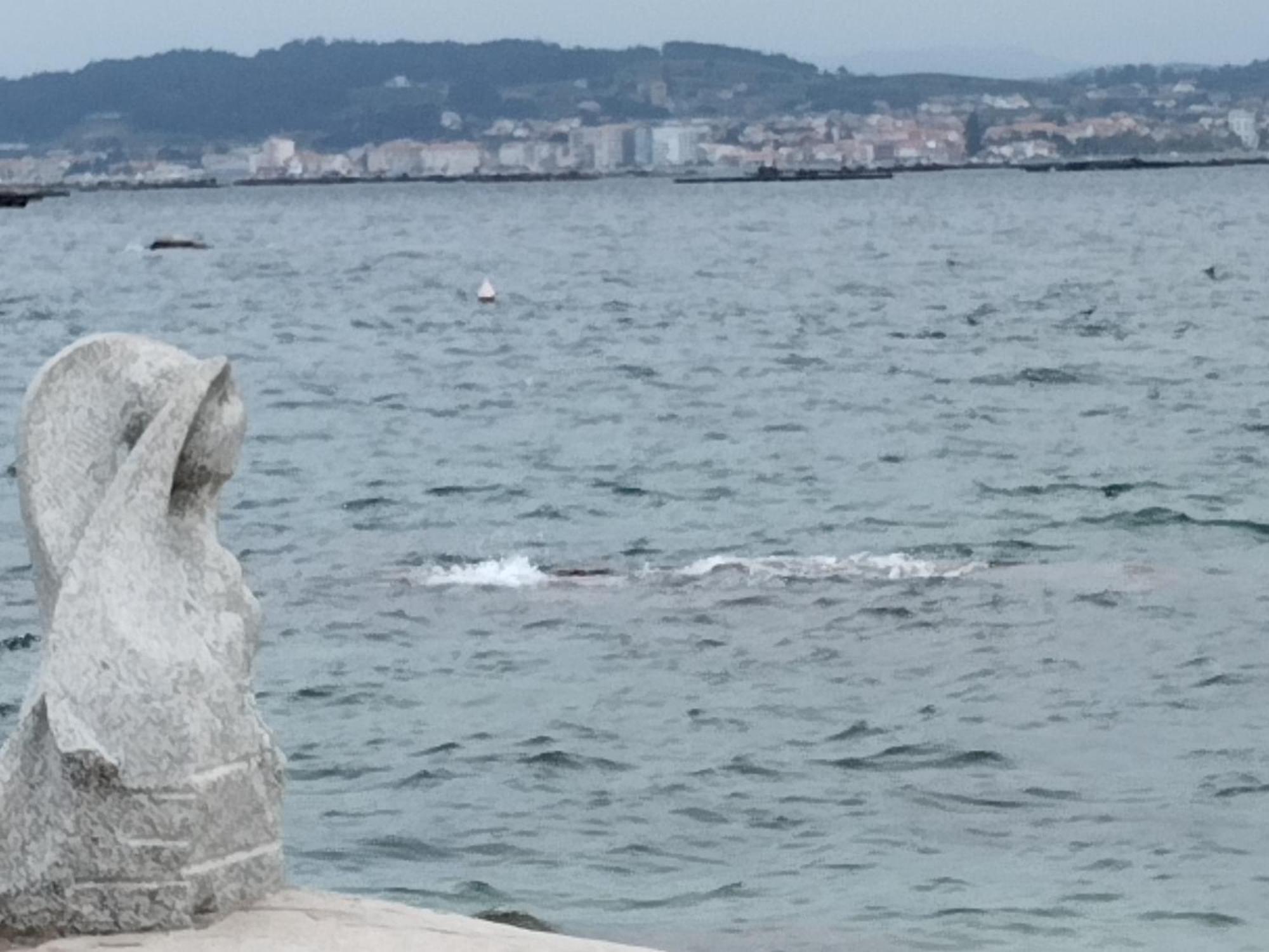 Apartamento Lordelo O Grove Εξωτερικό φωτογραφία